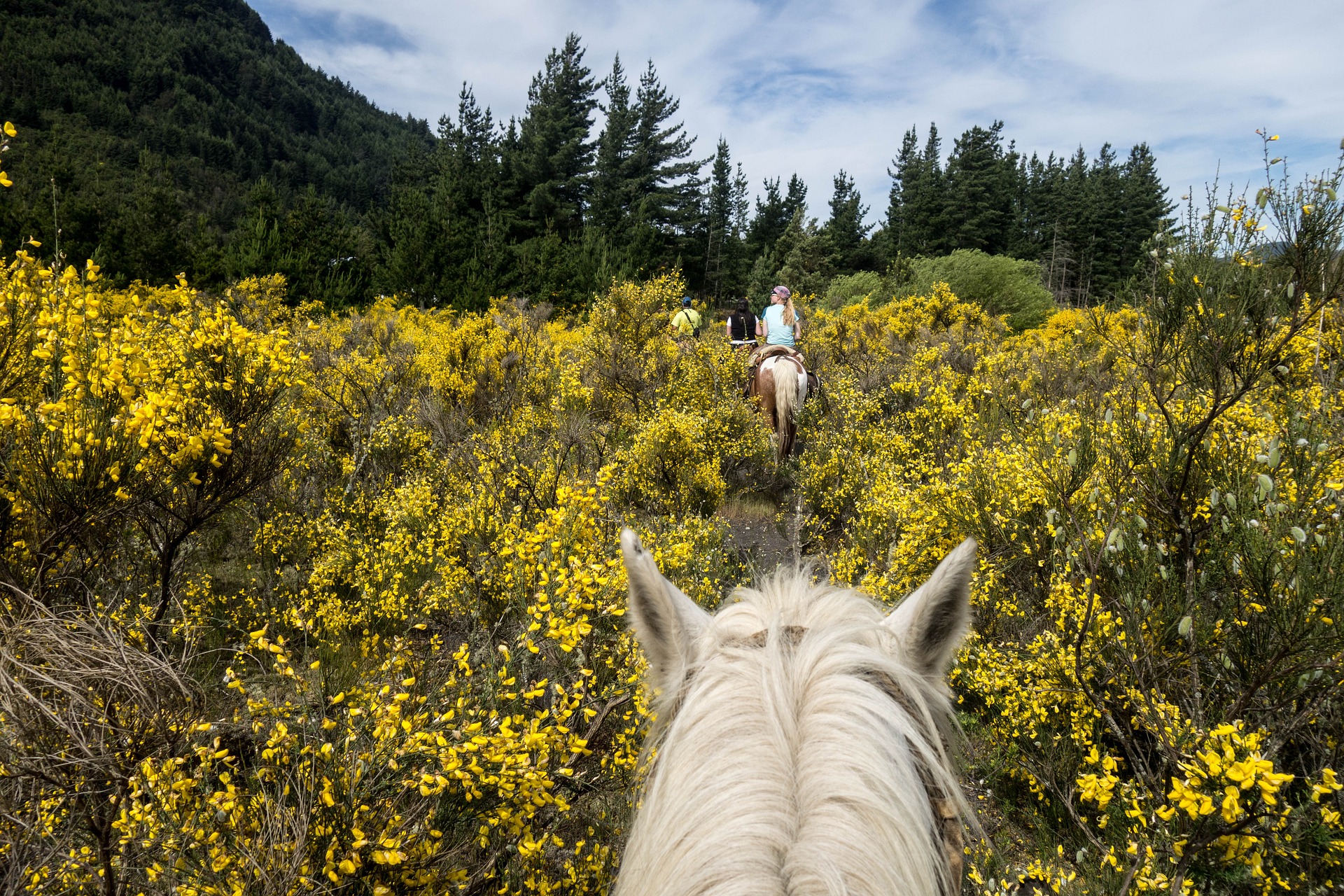 Enjoy Sun Valley horseback riding