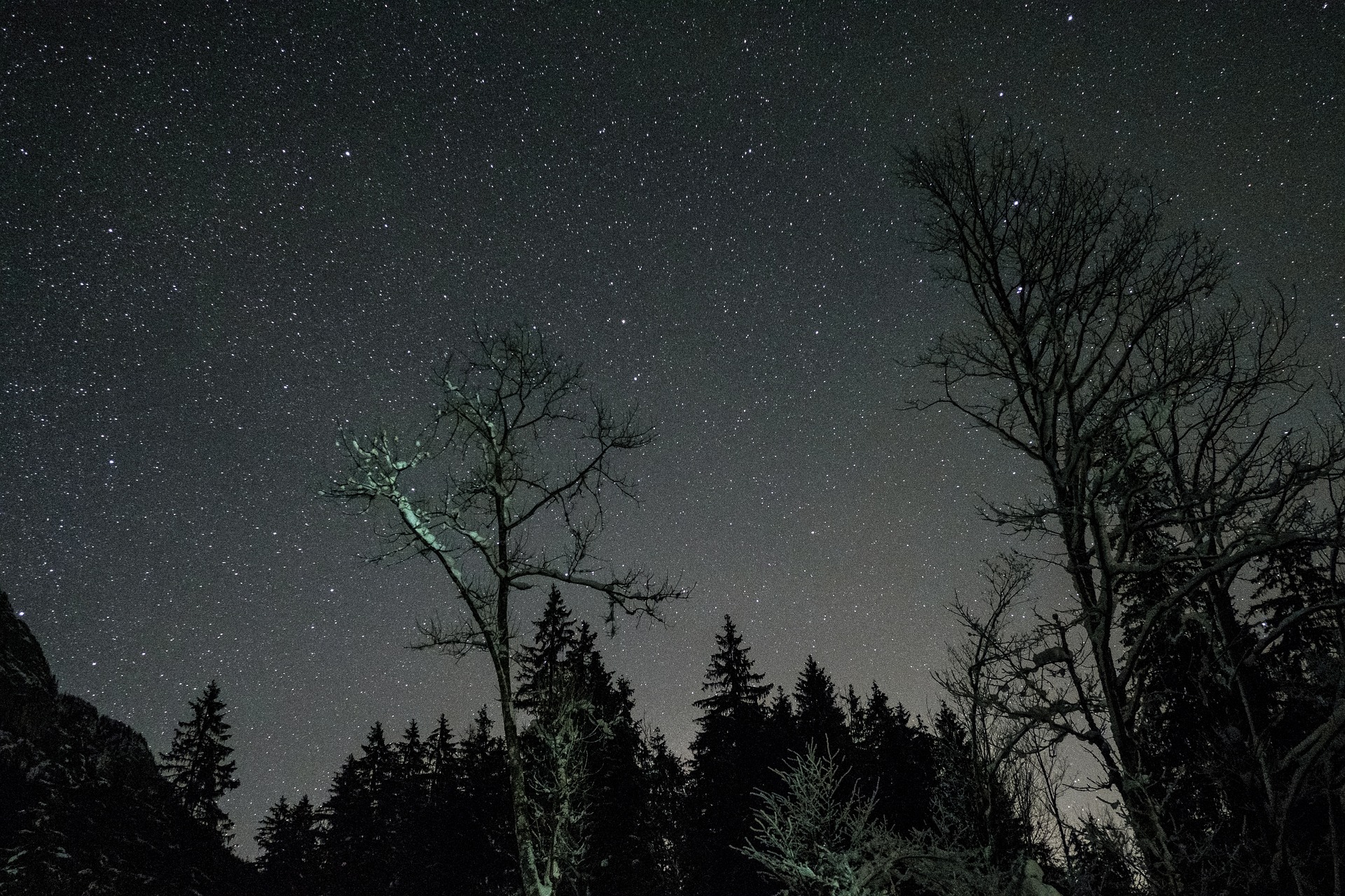 Outdoor Activities in Sun Valley - Stargazing